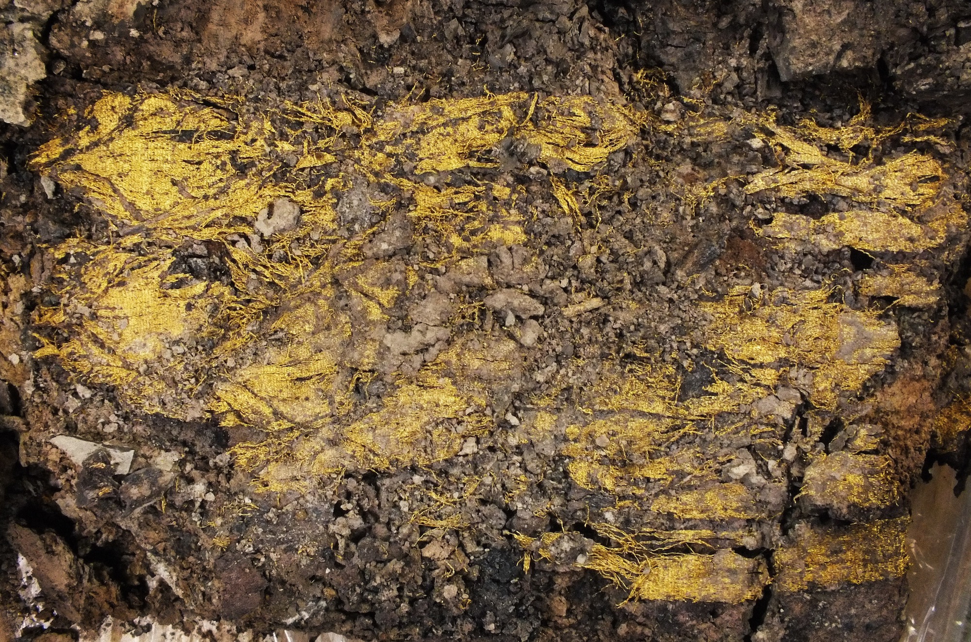 Tissu d’or dégagé en partie de sa motte de terre. © Lucie Marquat, Denis Gliksman, Inrap