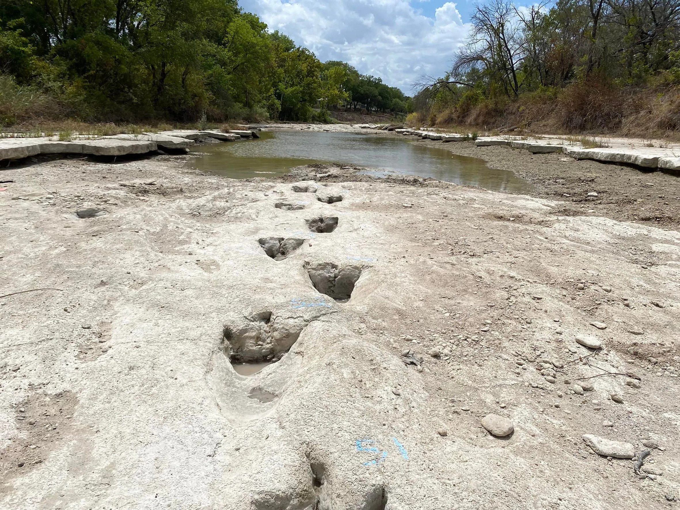 Vue des traces de pas découvertes dans le lit en partie asséché de la rivière, 23 août 2022. © Dinosaur Valley State Park