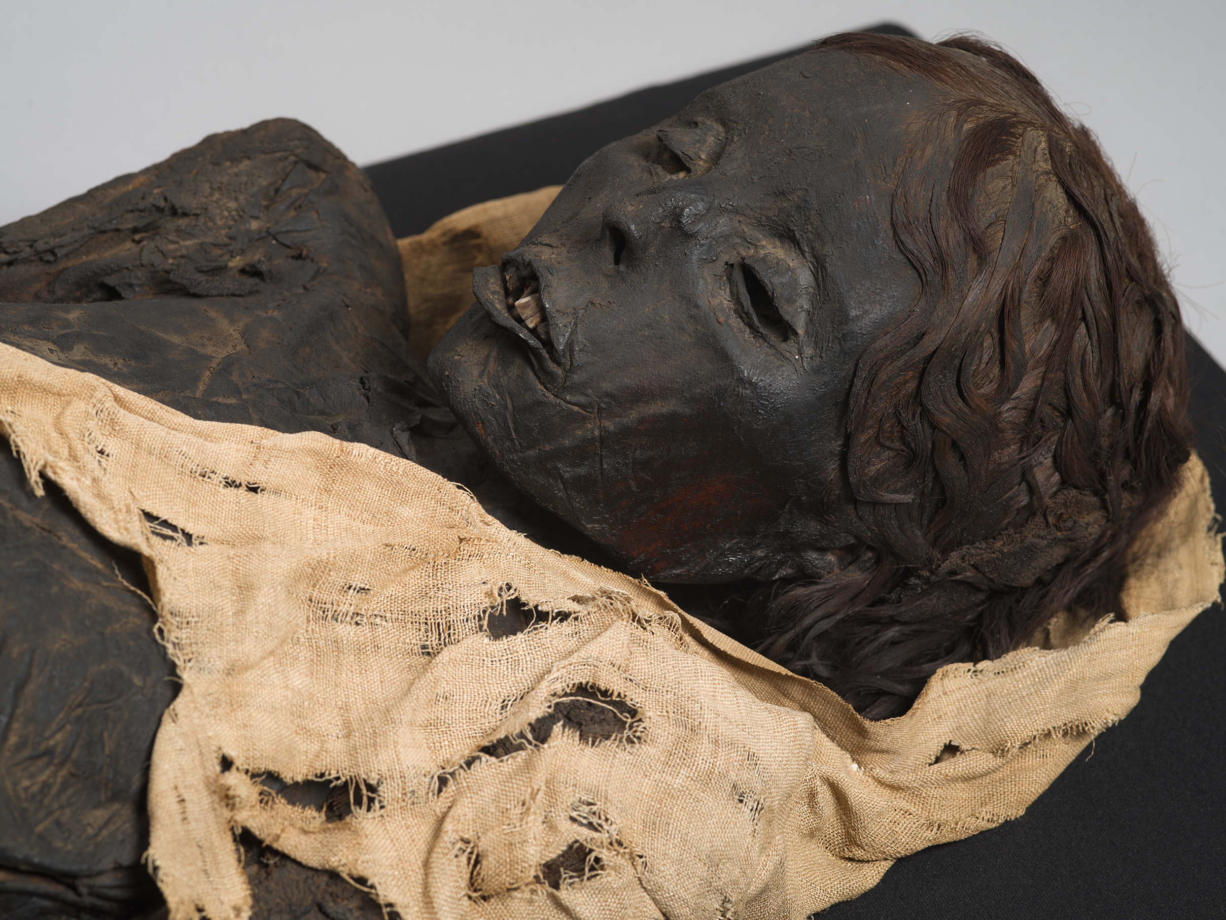 Momie de femme égyptienne.  © François-Louis Pons, Muséum de Toulouse 