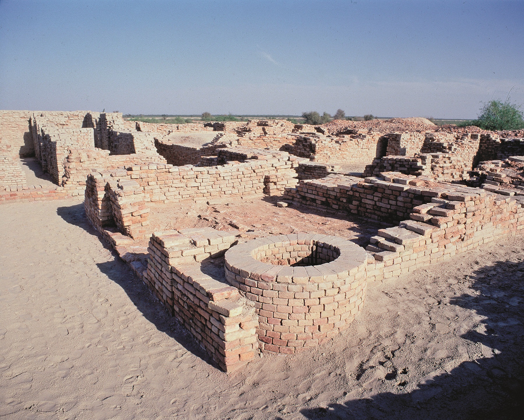 Puits et vestiges d’habitats à Mohenjo-daro. © Luisa Ricciarini / Bridgeman Images