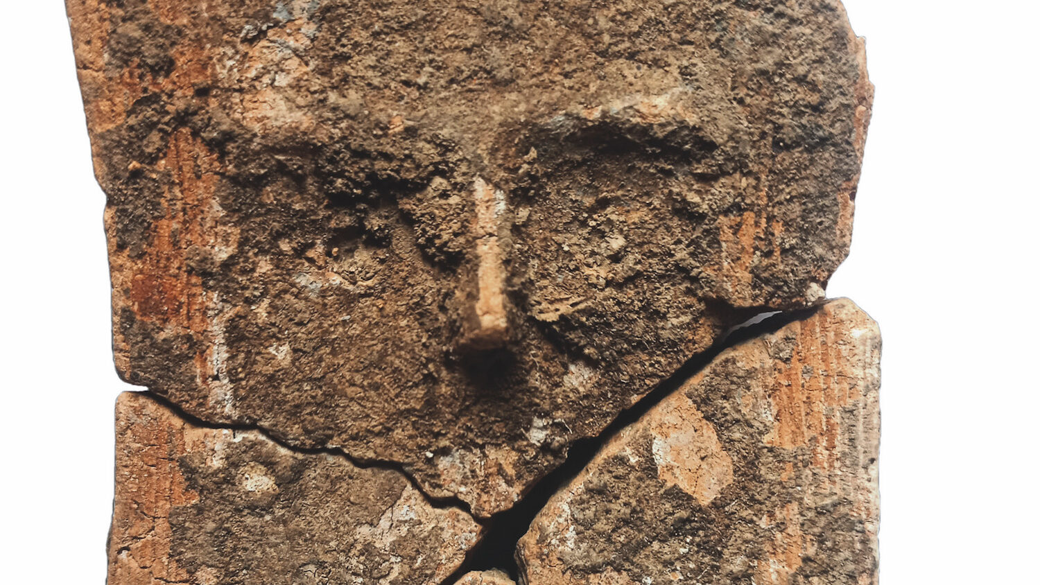 La figurine néolithique trouvée à Montpellier et datée entre 3900 et 3700 avant notre ère (détail). Les traits du visage, la coiffe, ainsi que les traces de polychromie sont bien visibles. Cliché de travail réalisé avant nettoyage, stabilisation et restauration. © ACTER