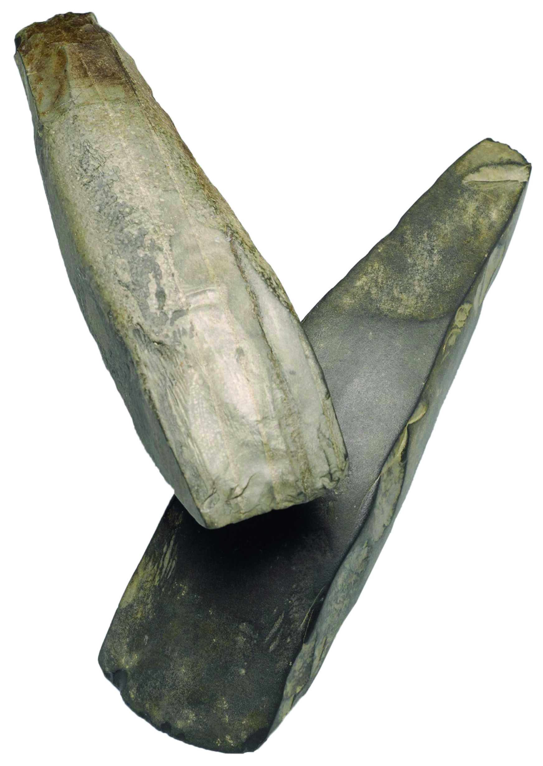 Deux grandes lames d’herminette en pélite-quartz issues des carrières de Plancher-les-Mines. Musées de Montbéliard. © P. Pétrequin