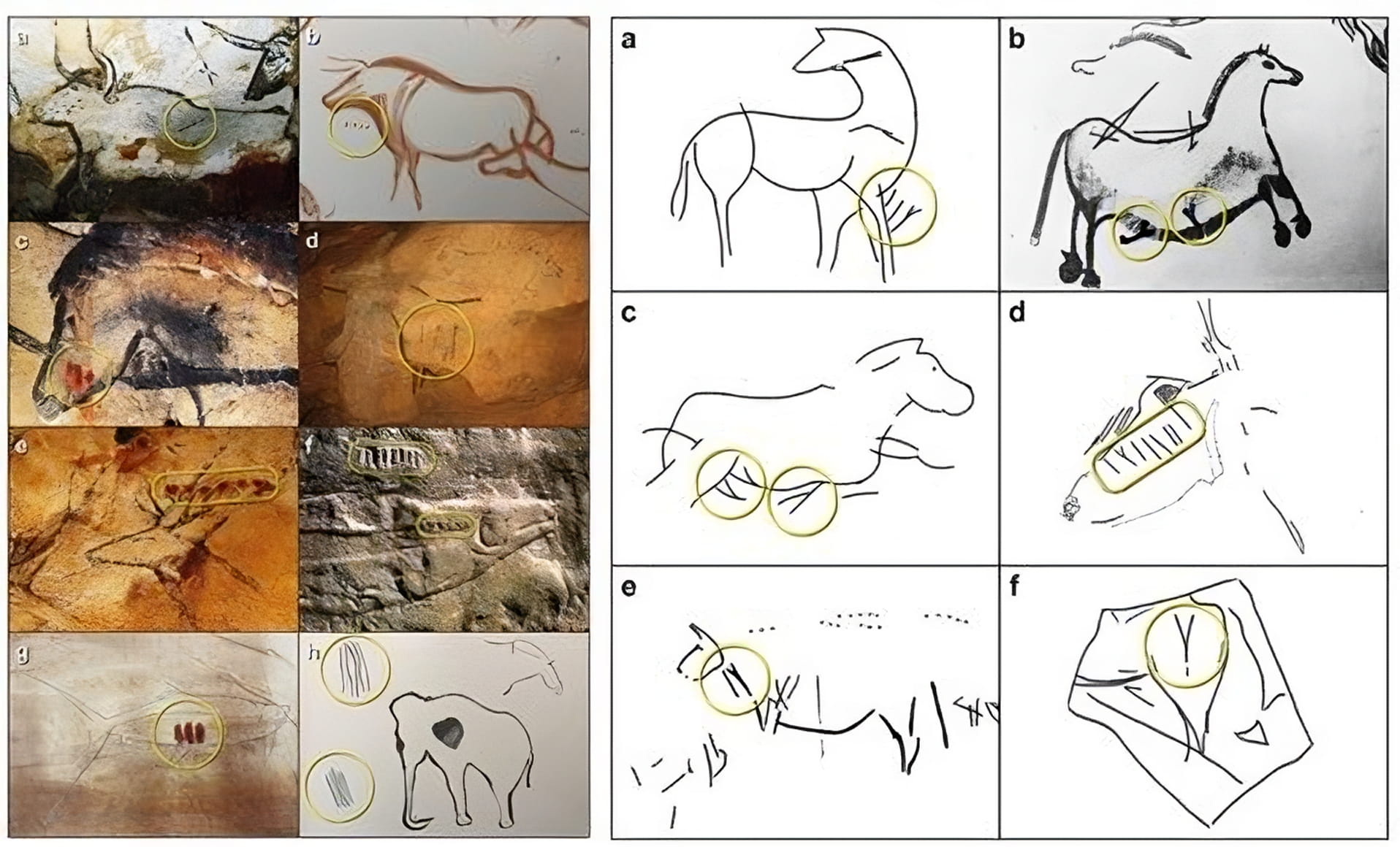 Les deux figures illustrant l'article de Bacon et al. 2023. À gauche : figures animales associées à des séries de traits ou de points ; à droite : exemples de «Y» dans les séquences (d'après Bacon et al. 2023; fig. 1 et 2)