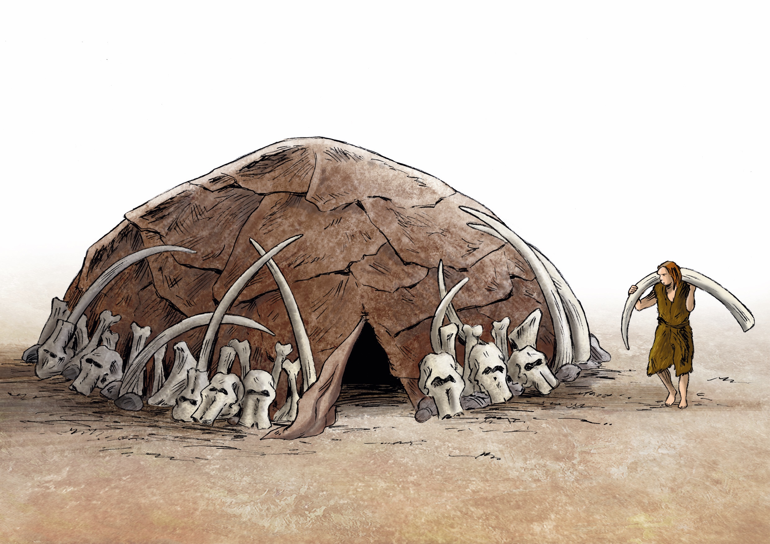 Proposition de reconstitution de la possible cabane en os de mammouths de Molodova (Ukraine). © Éric Le Brun