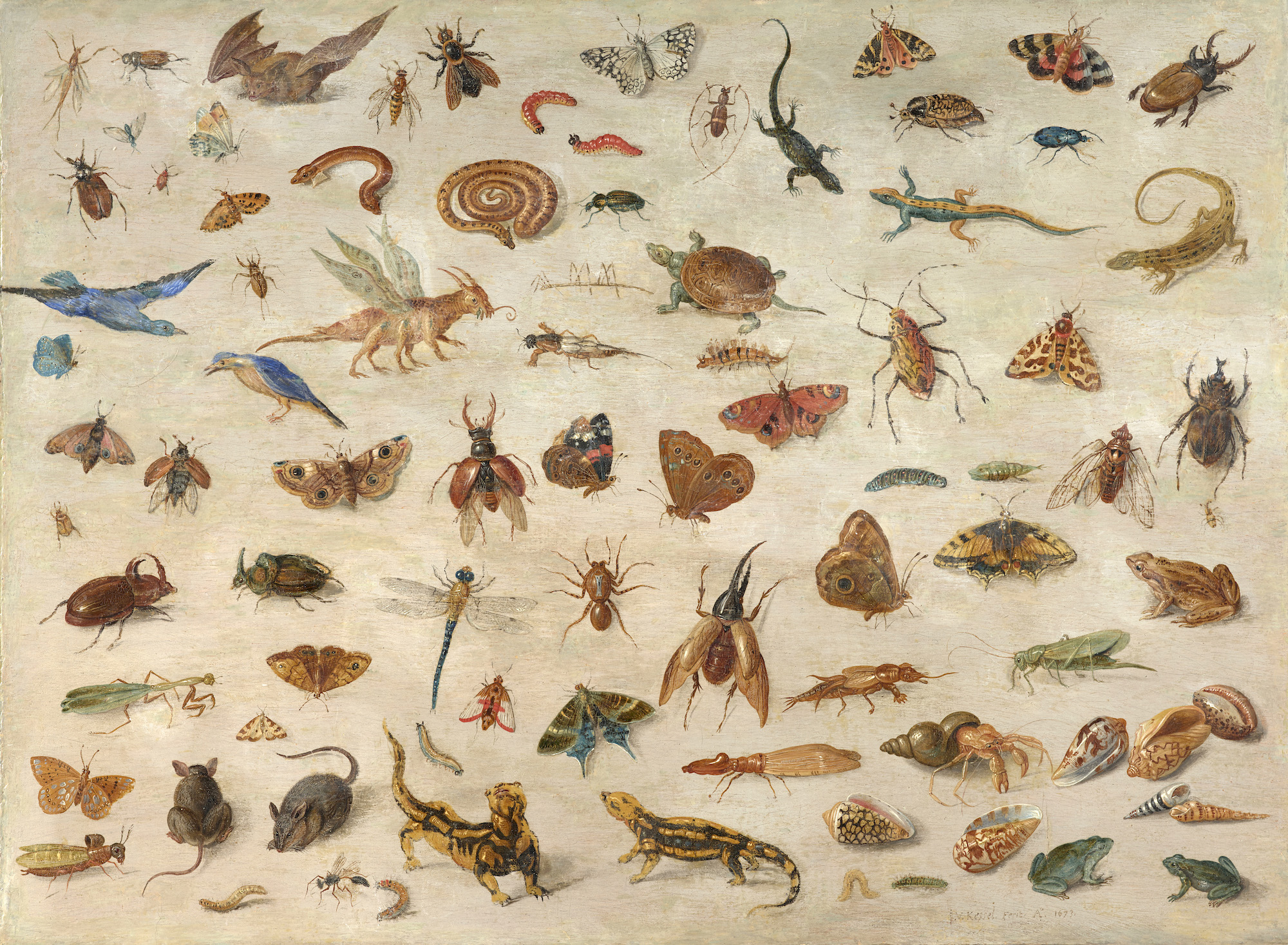 Jan van Kessel l’Ancien (1626-1679), Insectes, batraciens, coquillages et souris. Huile sur panneau, transposé, 33 x 44,50 cm. Estimé : 200 000/400 000 €. Photo service de presse. © Artcurial