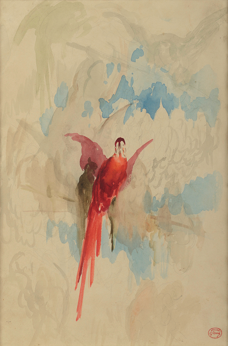 Gustave Doré (1832-1883), Perroquet et oiseaux exotiques sur une branche. Aquarelle et crayon noir sur papier, 45 x 30 cm. Paris, galerie Fabienne Fiacre. © Galerie Fabienne Fiacre