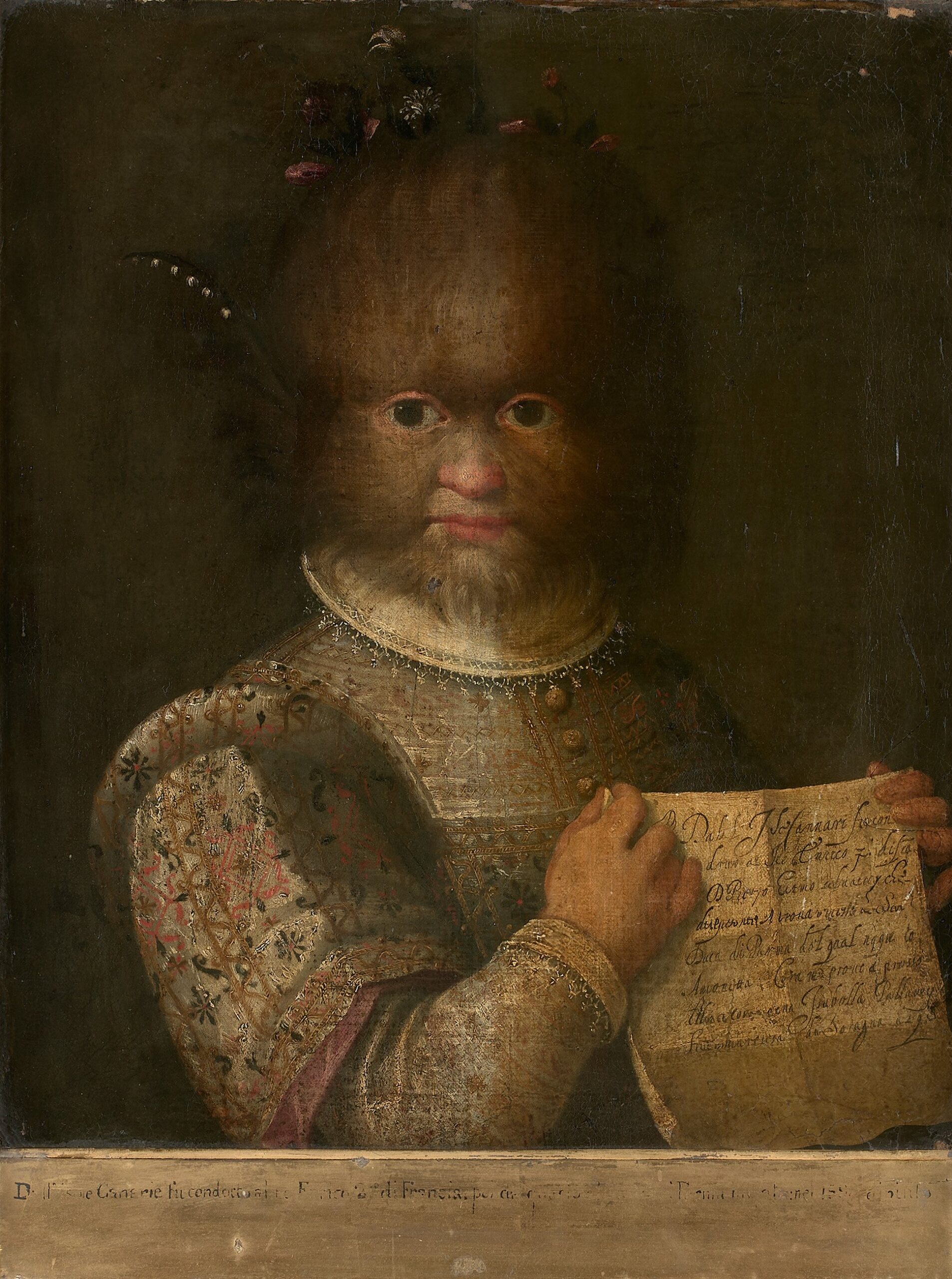 Lavinia Fontana (1552-1614), Portrait d'Antonietta Gonsalvus. Huile sur toile, 54,5 x 47 cm. Estimé : 80 000/120 000 €. © Rouillac