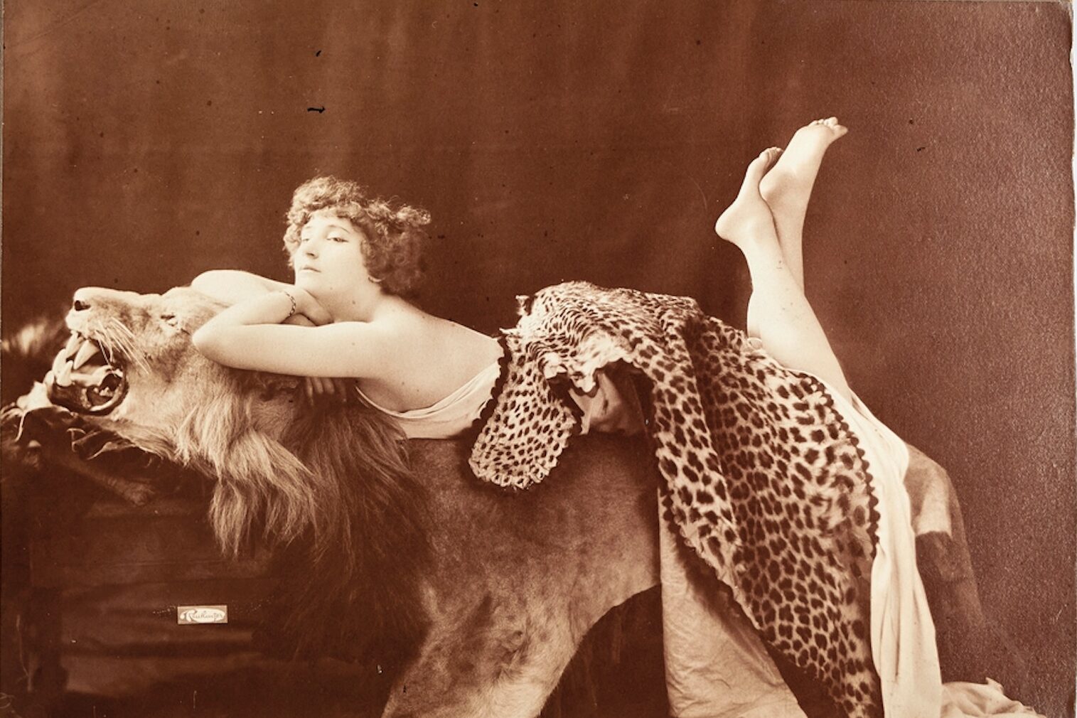 Léopold-Émile Reutlinger (1863-1937), Portrait de Colette à la peau de lion, Paris, 1907. Photographie contrecollée sur carton, tirage d’époque, 20,4 x 28,7 cm. Librairie Le Feu Follet. © Librairie Le Feu Follet