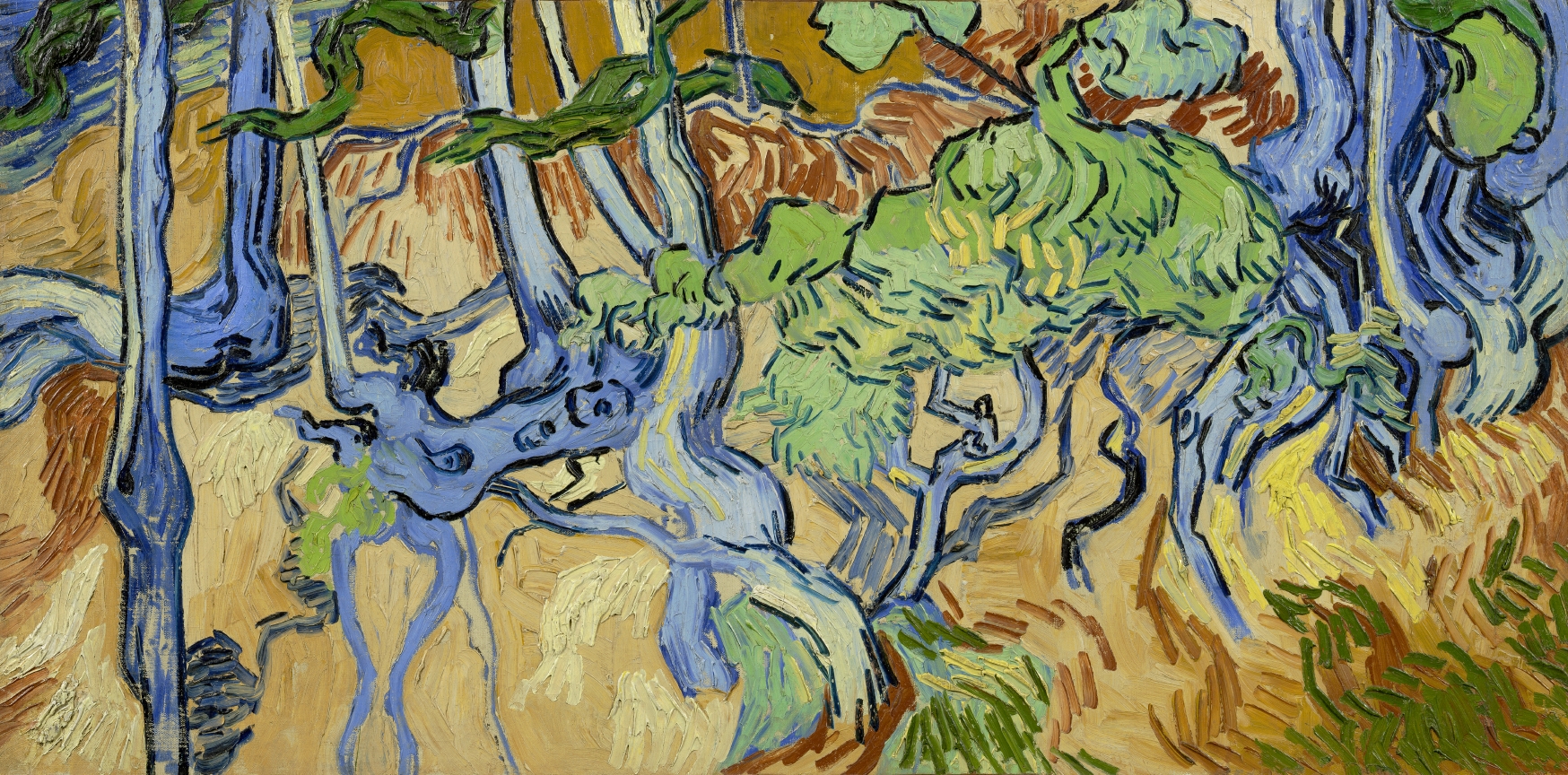 Vincent van Gogh (1853-1890), Racines d’arbres, 1890. Huile sur toile, 50,3 x 100,1 cm. Amsterdam, Van Gogh Museum (Vincent van Gogh Foundation). Photo service de presse. © Van Gogh Museum, Amsterdam (Vincent van Gogh Foundation)