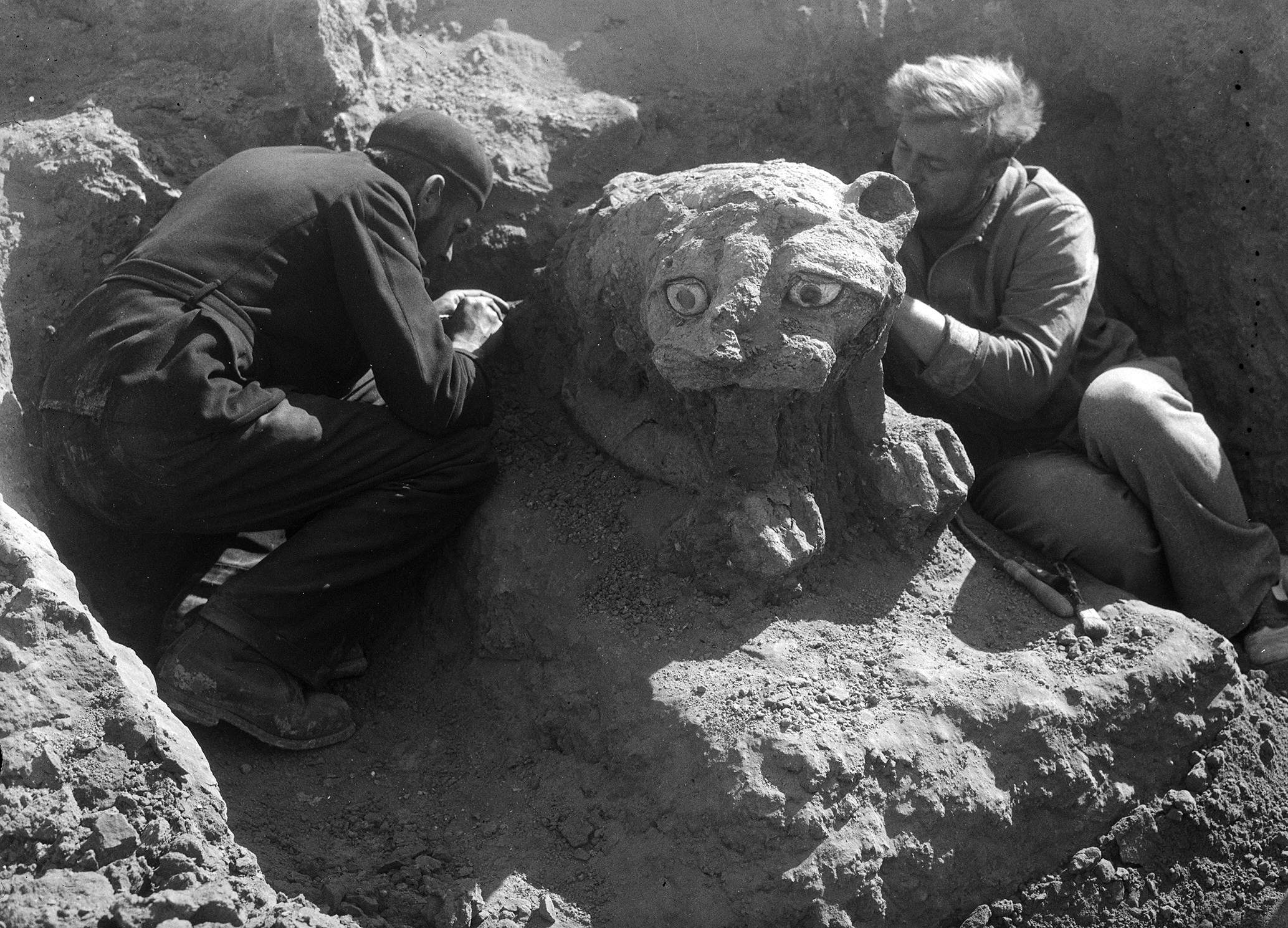 Découverte de l’avant-corps de lion en cuivre en 1937. © Mission archéologique française de Mari 