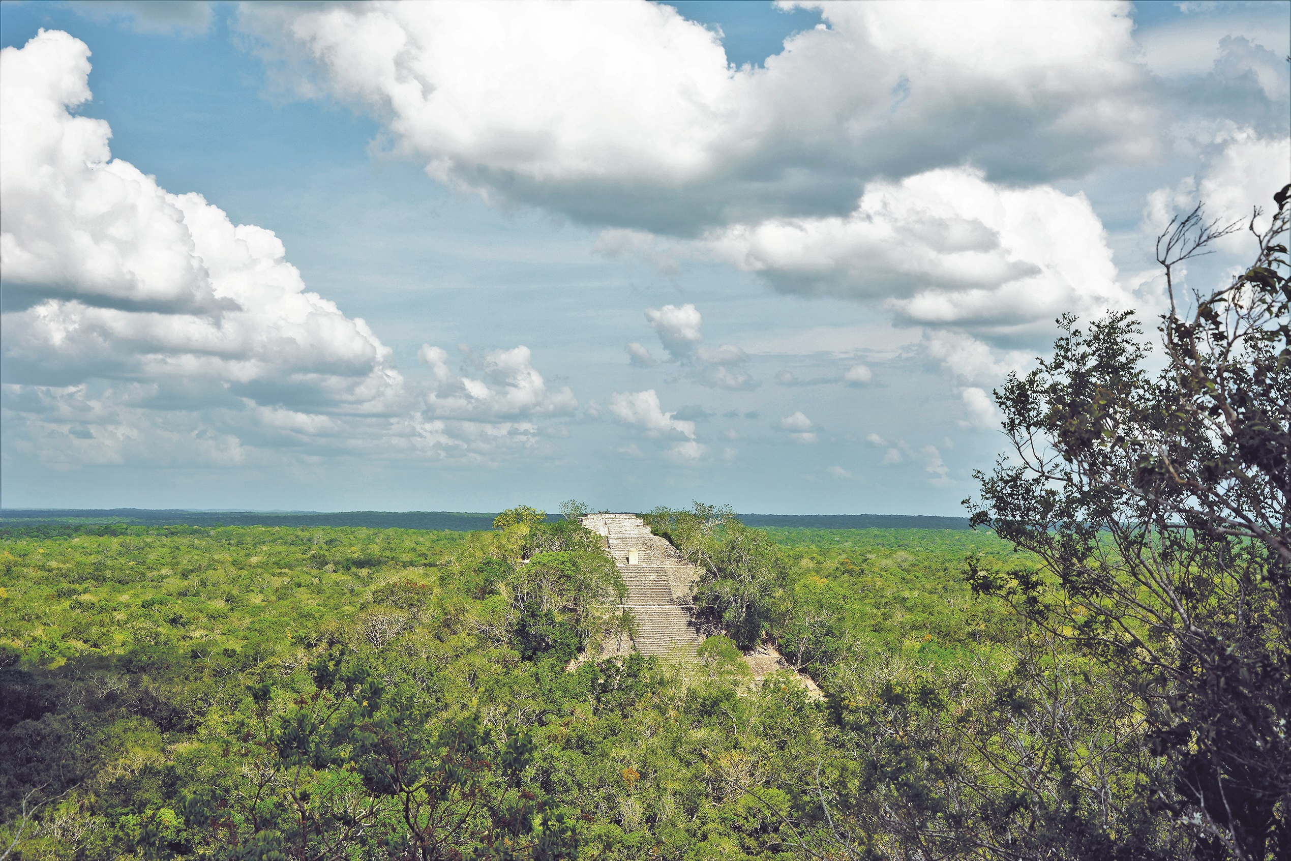 La forêt tropicale de Campeche abrite, entre autres, le merveilleux site maya de Calakmul. CC-BY-SA-3.0 Norberto Negrete