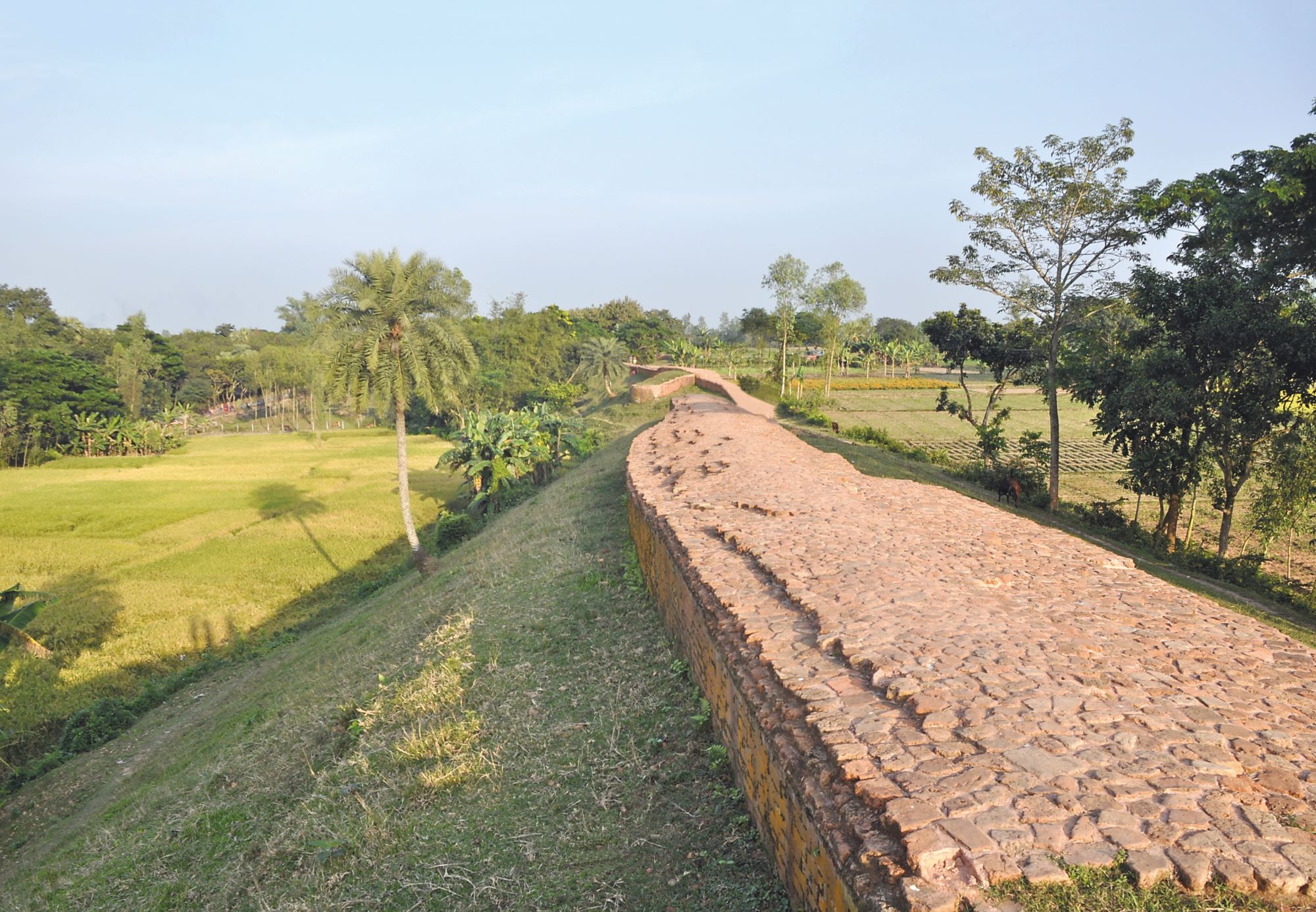 Vue du rempart nord de Mahasthangarh. © Mission française de coopération archéologique au Bangladesh