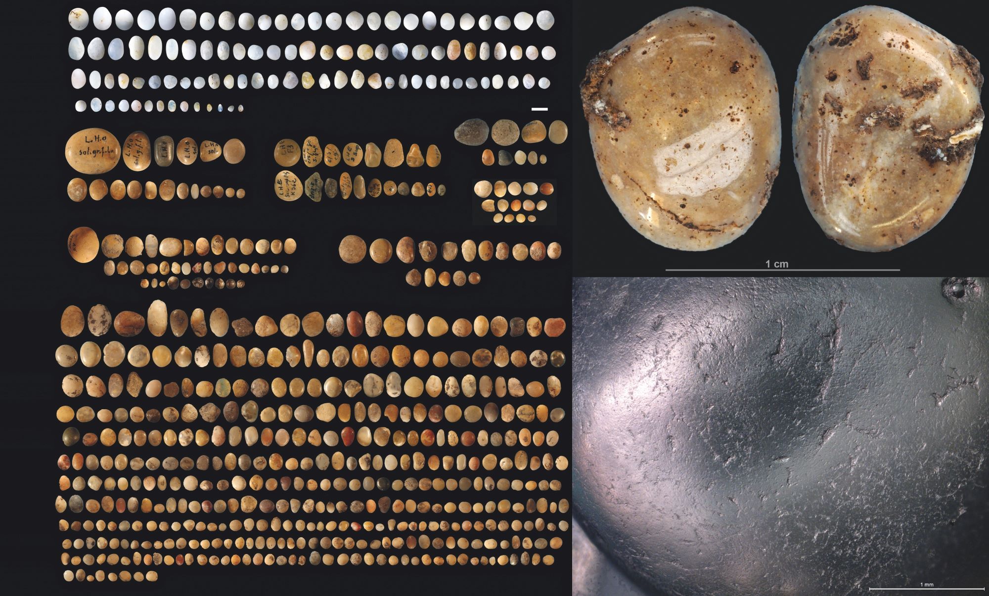 À gauche : galets polis découverts dans cinq sites paléolithiques du sud-ouest de la France, datés entre 29 000 et 20 000 avant notre ère ; en haut à droite : galet poli découvert lors des fouilles à l’abri du Fourneau du Diable, en Dordogne ; en bas à droite : photo microscopique de la surface de l’un des galets polis. © L. Geis