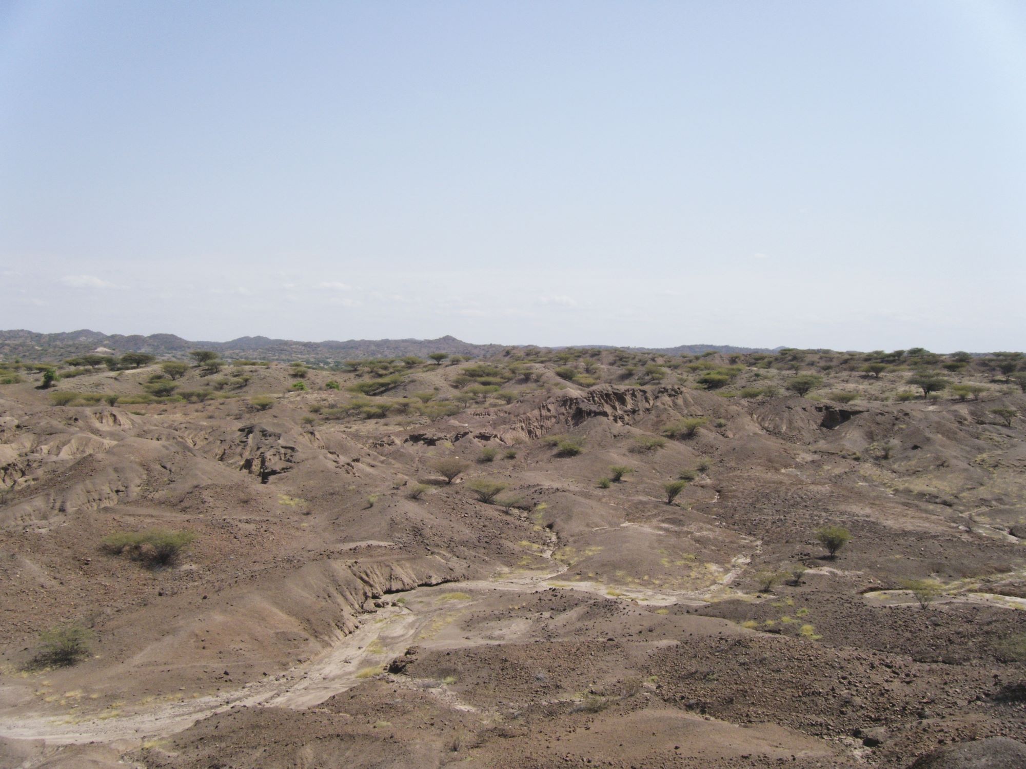Terrain à l’ouest du lac Turkana, région riche en fossiles d’hominines. © S. Prat, WTAP, ANR HOMTECH CNRS