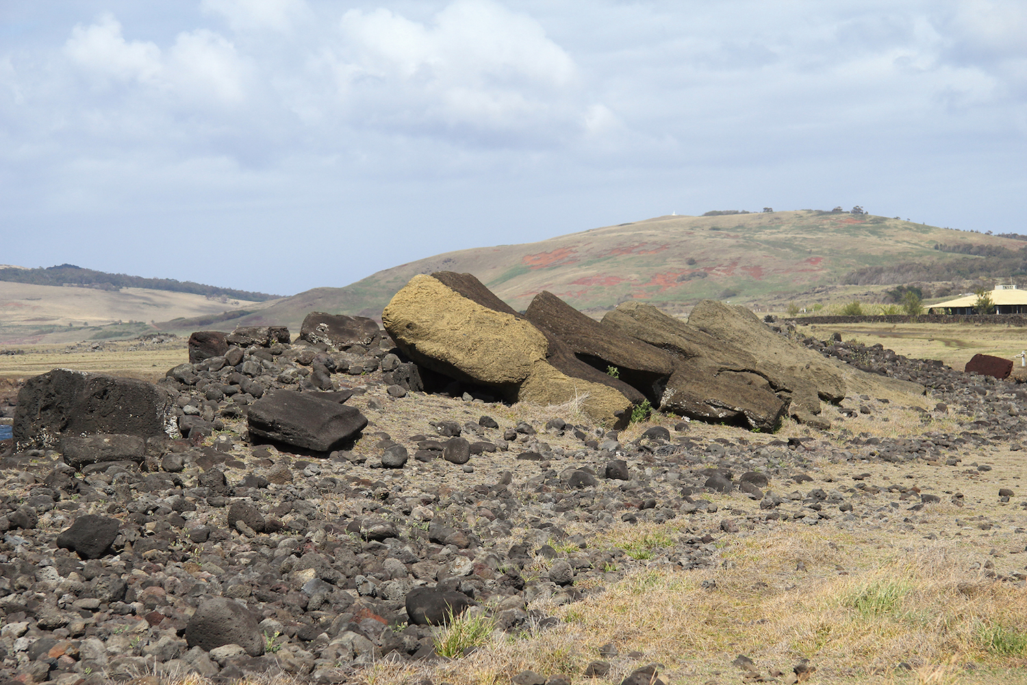 Ahu Hanga Te’e (côte méridionale) : ce monument, un des plus grands de l’île, semble aujourd’hui en ruine. Les huit moai, désormais couchés face contre terre, montrent une belle ordonnance, sans dégât aucun, si ce n’est quelques fissurations. © Nicolas Cauwe.