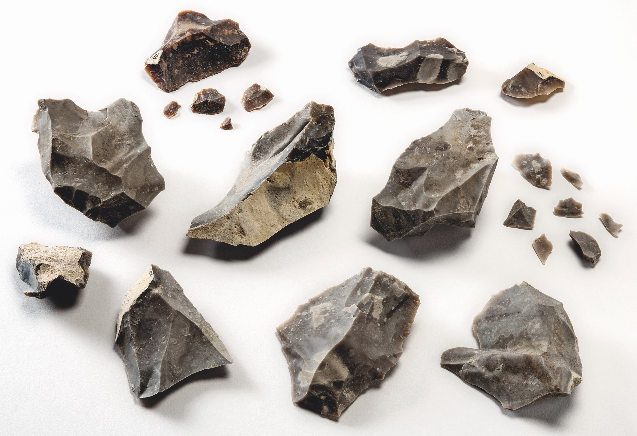 Ensemble d’outils en silex retrouvés sur le site de Clichy-la-Garenne en octobre 2020. Paléolithique moyen. © Denis Glicksmann, Inrap
