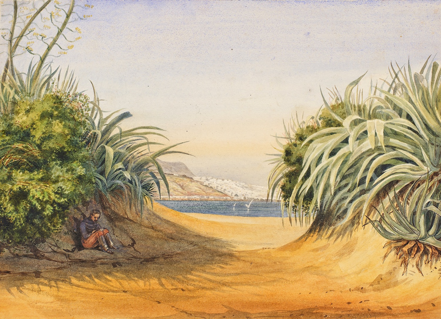 Olivier Bro de Comères (1812-1874), L’Artiste assis dessinant des agaves près d’Alger. Aquarelle gouachée, crayon noir, 24 x 33,2 cm. © De Bayser