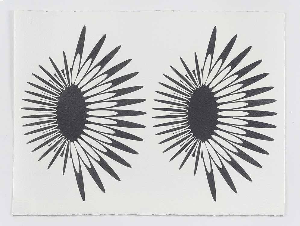 Jane Harris (1956-2022), Orbiteurs 6, 2015. Crayon sur papier, 56 x 76 cm. Photo service de presse. © Close Ltd