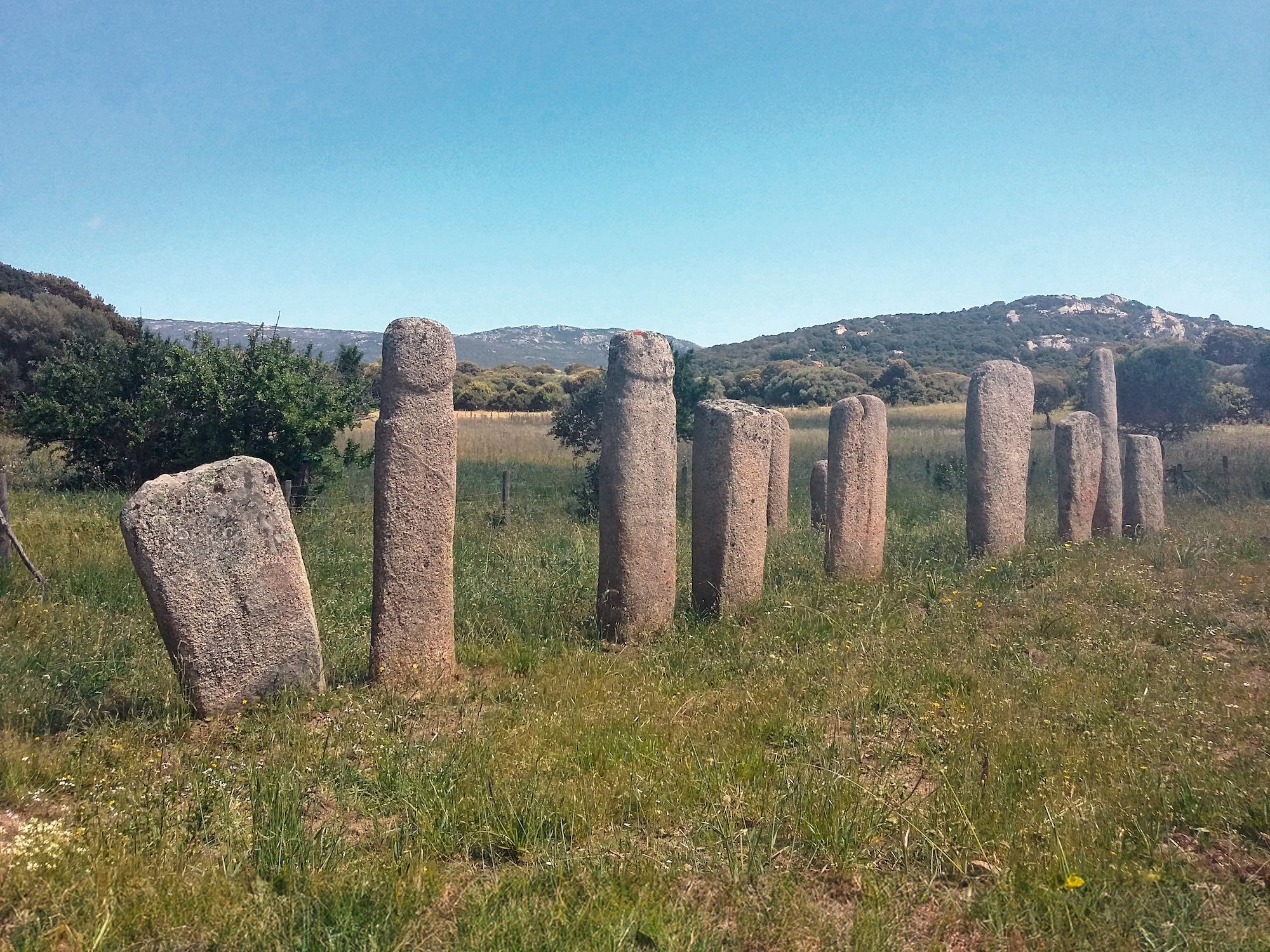 L’alignement d’I Stantari à Cauria (avec ses deux monolithes phalliques), depuis l’ouest. © L. Pinet