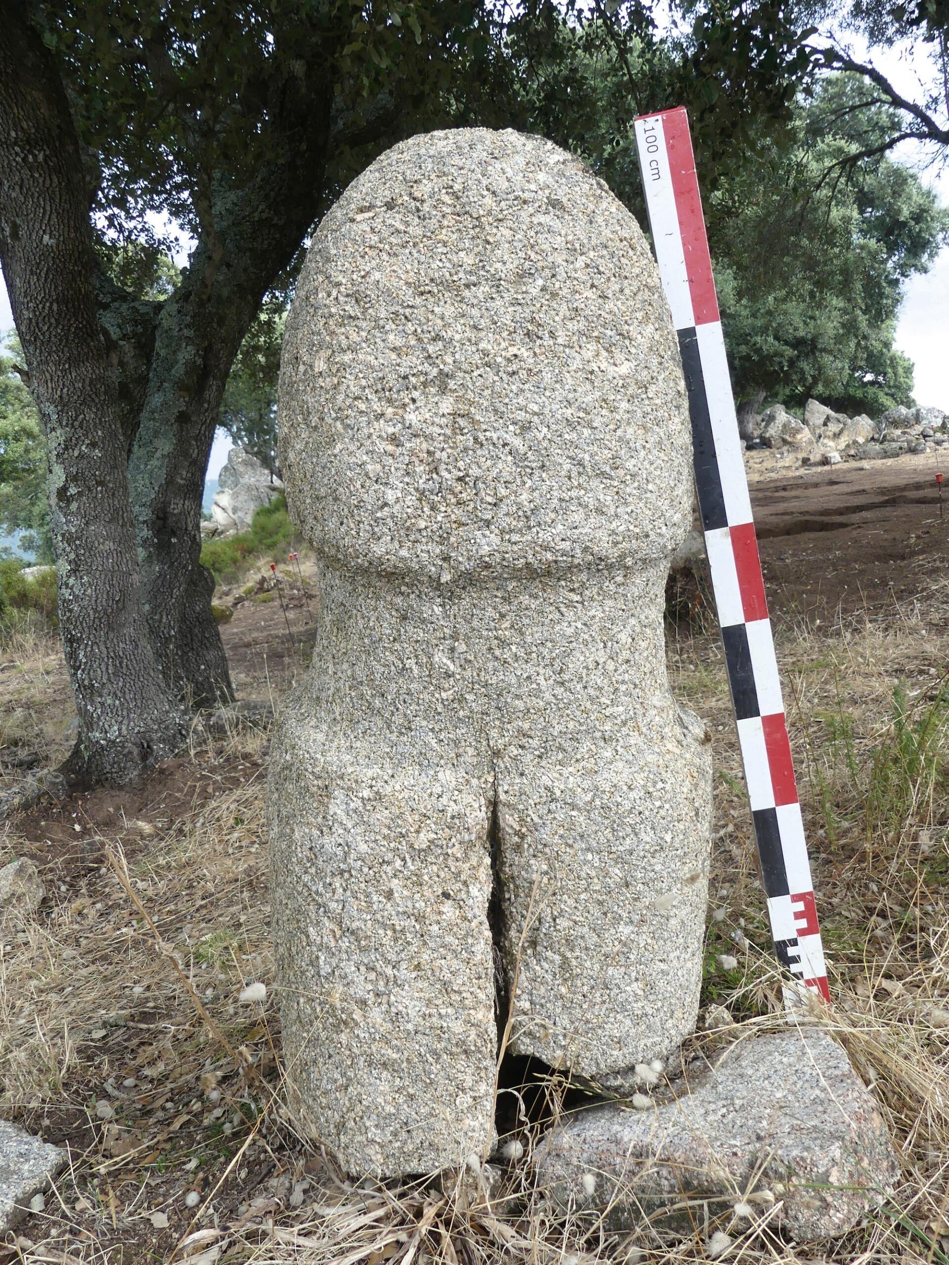 La statue-menhir cassée de Monti Barbatu 1 était implantée dans un alignement dressé dans la partie basse de l’habitat, malheureusement détruit au XXe siècle. Sa silhouette est nettement phallique. © K. Peche-Quilichini
