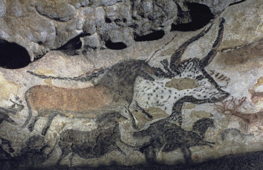 Peinture d’un taureau et de chevaux dans la grotte de Lascaux.