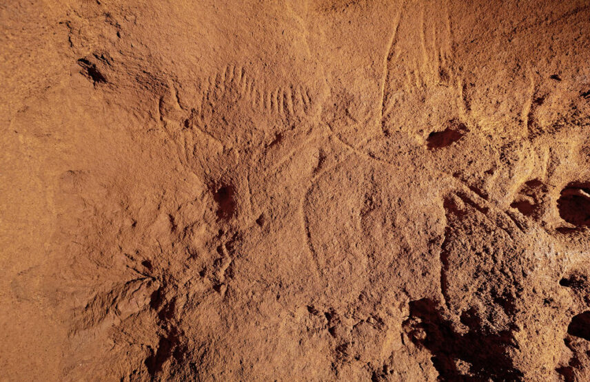 Bison gravé dans la grotte des Combarelles III.