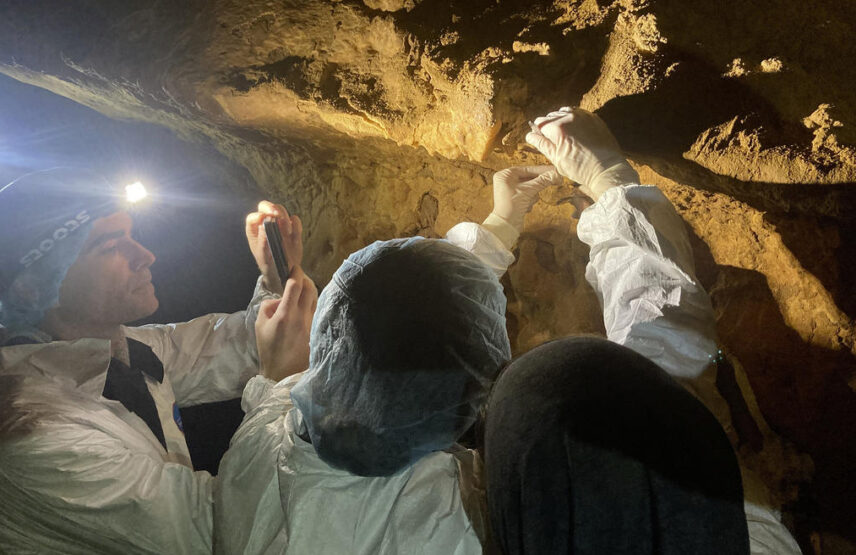 Séance de prélèvements micrométriques de matière noire pariétale dans la grotte de Cussac pour déterminer la composition minérale ou organique et la dater.