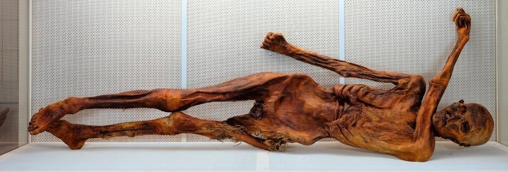 preview__momie-otzi-bolzano-musee-archeologique-haut-adige.jpg