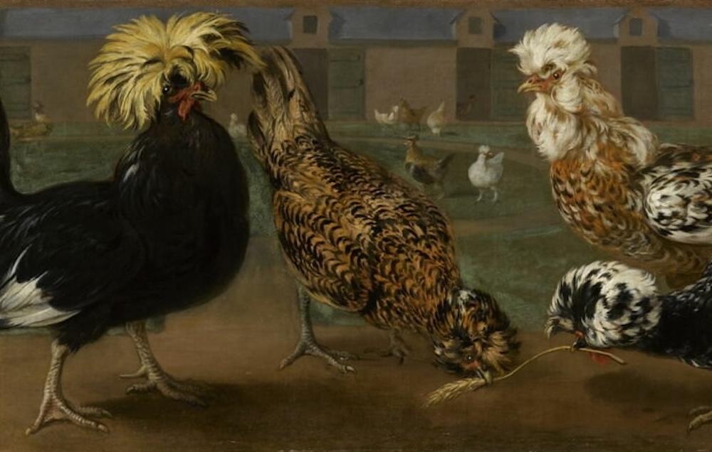preview__nicasius-bernaerts-poules-coqs-1664-1668-huile-toile-musee-louvre.JPG