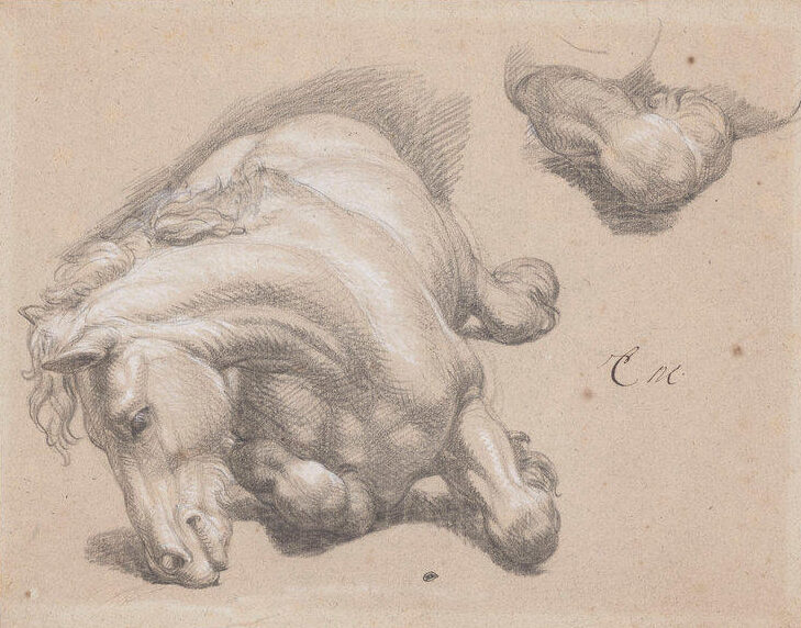 Web_preview__charles-le-brun-cheval-couche-1660-1670-pierre-noire-rehauts-craie-papier-paris-musee-louvre.jpg