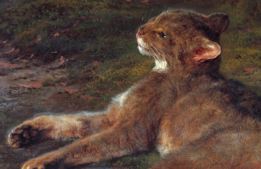 Rosa Bonheur, Chat sauvage (détail), 1850. Huile sur toile, 46 x 56 cm. Stockholm, Nationalmuseum.