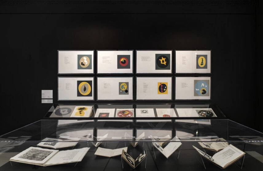 Vue d’une des salles de l’exposition « La Bibliothèque des images. Livre et arts graphiques en dialogue (XIXe-XXIe siècles) ».