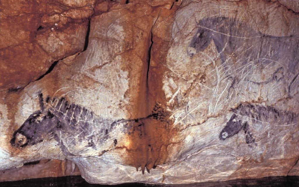 preview__grotte-cosquer-petits-chevaux.jpg
