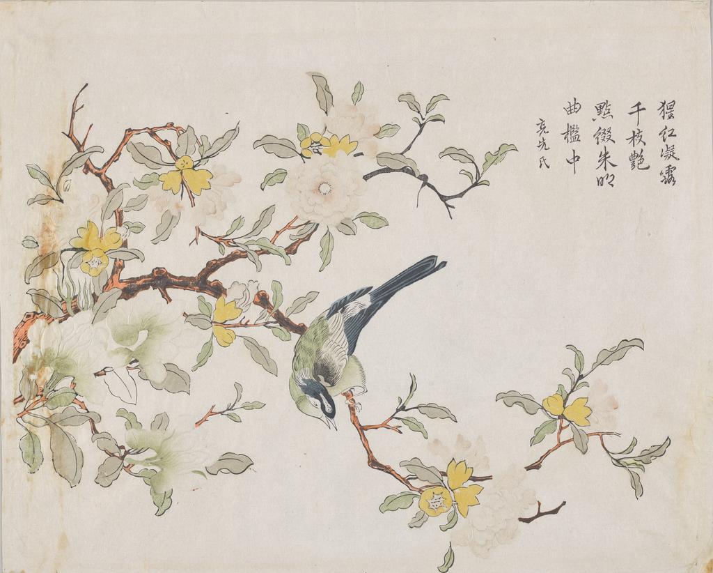 Oiseau sur une grenade, première moitié du XVIIIe siècle, Chine, Suzhou, dynastie Qing (1644-1911). Gravure sur bois polychrome, encre et couleur sur papier, 30 x 37,4 cm. Cleveland, The Cleveland Museum of Art, J.H. Wade Trust Fund.