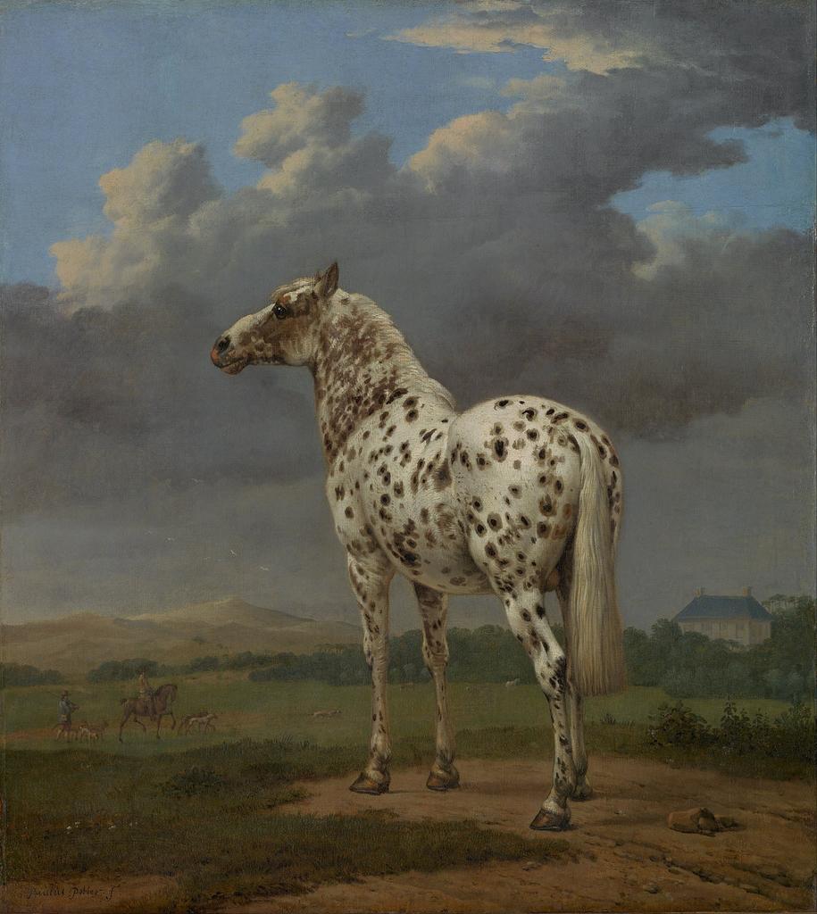 preview__paulus-potter-cheval-pie-1650-huile-toile-los-angeles-j-paul-getty-museum.jpg