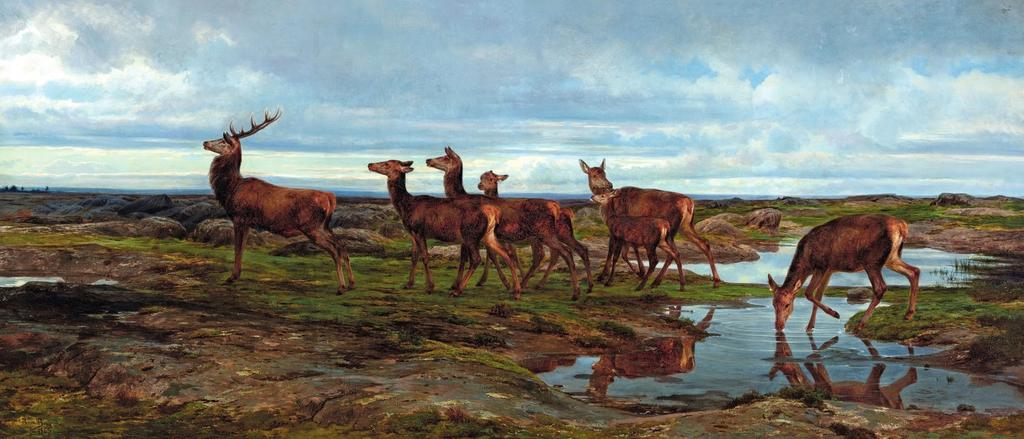 preview__rosa-bonheur-famille-cerf-espace-decouvert-longs-rochers-1865-huile-toile-sarasota-john-mable-ringling-museum-of-art-exposition-musee-orsay-beaux-arts-bordeaux.jpg