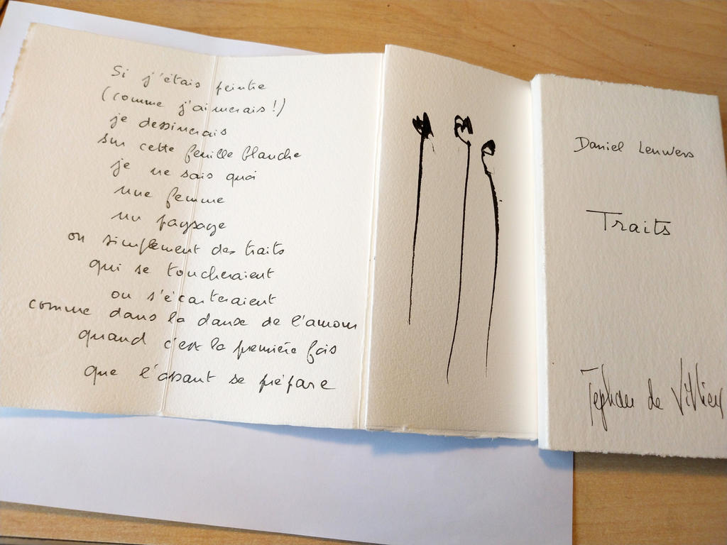 Jephan de Villiers et Daniel Leuwers, Traits. 2009.