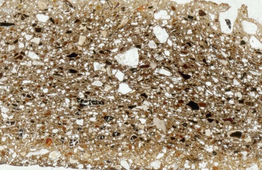 Vue au microscope du plat découvert dans le tumulus Saint-Michel. Les inclusions brunes à orange foncé correspondent aux grains de glauconie, les fragments anguleux noirs ou beiges à des morceaux d’os broyés ajoutés par les potiers.