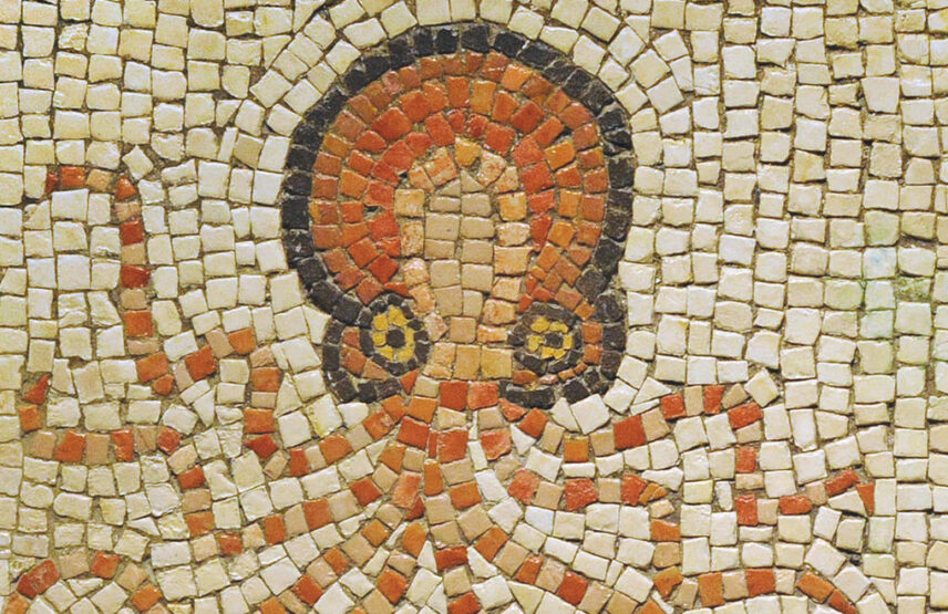 Mosaïque de Villaquejida figurant un poulpe (détail). Musée d’archéologie nationale de Madrid.