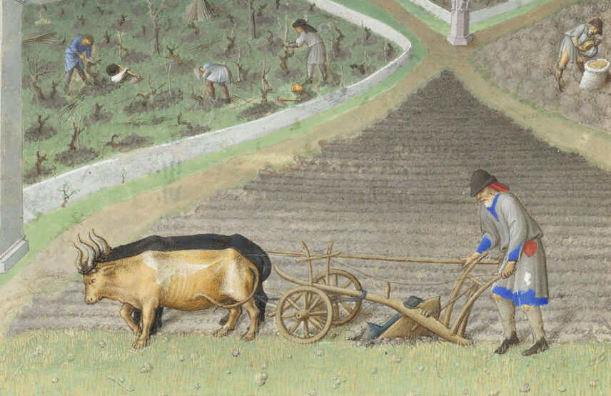 Les frères de Limbourg, vers 1411-1416, et Barthélemy d’Eyck, vers 1446, Très Riches Heures du duc de Berry, ms. 65, folio 3 v°, le mois de mars, « Les premiers travaux des champs » (détail). Chantilly, bibliothèque du musée Condé. 21 x 29 cm.
