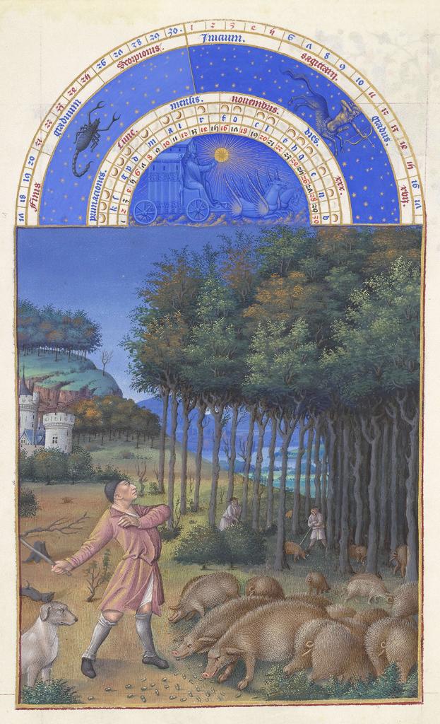 Les frères de Limbourg, vers 1411-1416, et Jean Colombe, vers 1485, Très Riches Heures du duc de Berry, ms. 65, folio 11 v°, le mois de novembre, « La glandée ». Chantilly, bibliothèque du musée Condé. 21 x 29 cm. 