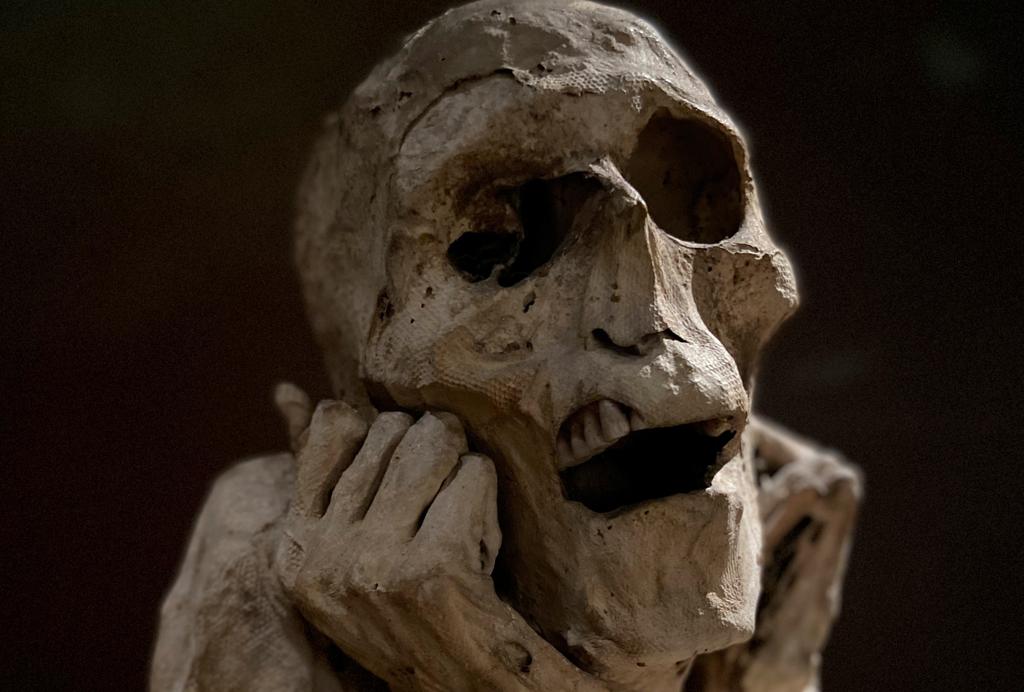 Homme de la culture chachapoya, anciennement désigné comme « momie trépanée de Piedra Grande de l’Utcumbamba ». Ce jeune adulte, de 20 à 30 ans, a vécu entre le XIIe et le XVIe siècle, dans l’actuel Pérou. Paris, musée de l'Homme.